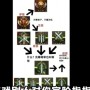 三国杀武将升星攻略(三国杀武将升阶攻略)