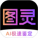 图灵鉴定app